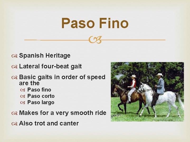Paso Fino Spanish Heritage Lateral four-beat gait Basic gaits in order of speed are