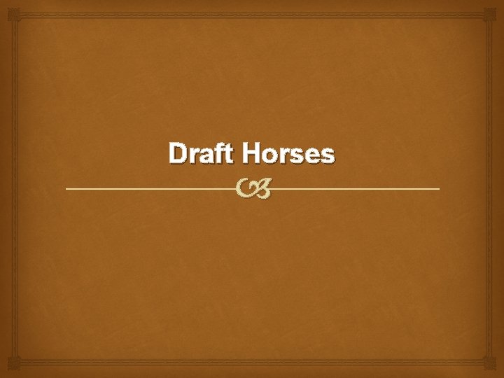 Draft Horses 
