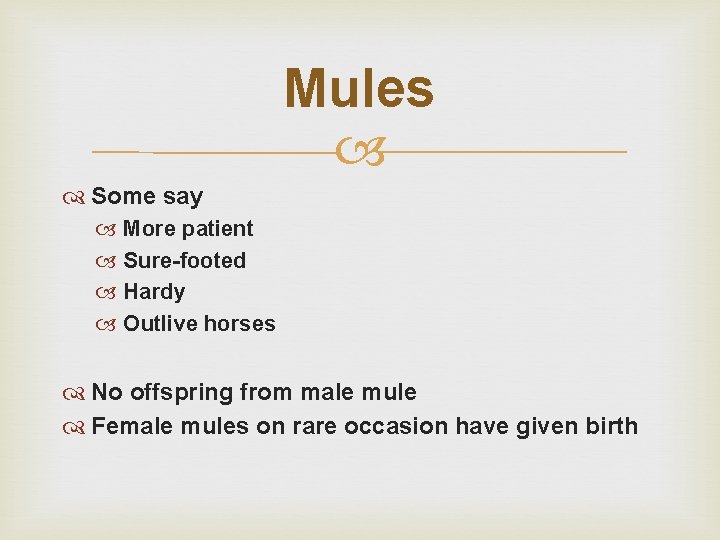 Mules Some say More patient Sure-footed Hardy Outlive horses No offspring from male mule