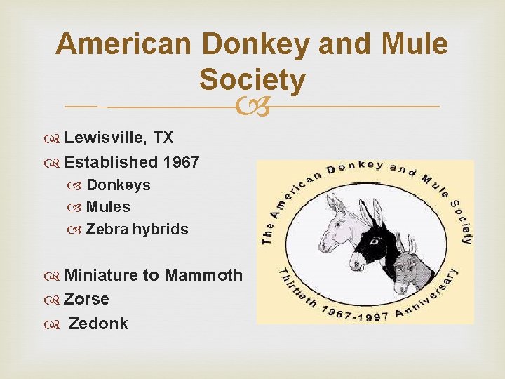 American Donkey and Mule Society Lewisville, TX Established 1967 Donkeys Mules Zebra hybrids Miniature