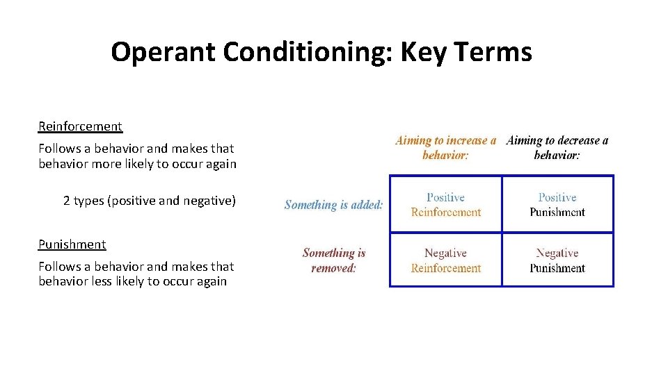 Operant Conditioning: Key Terms Reinforcement Follows a behavior and makes that behavior more likely