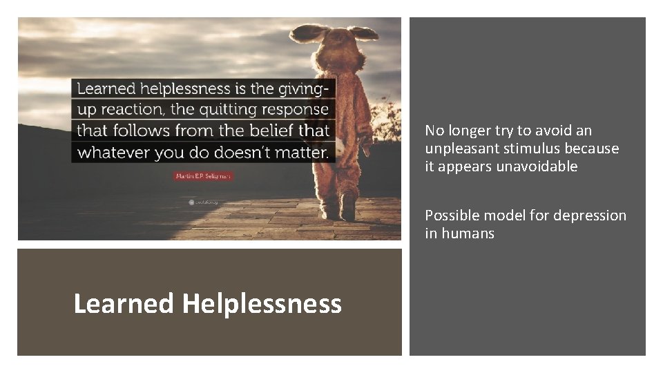 No longer try to avoid an unpleasant stimulus because it appears unavoidable Possible model