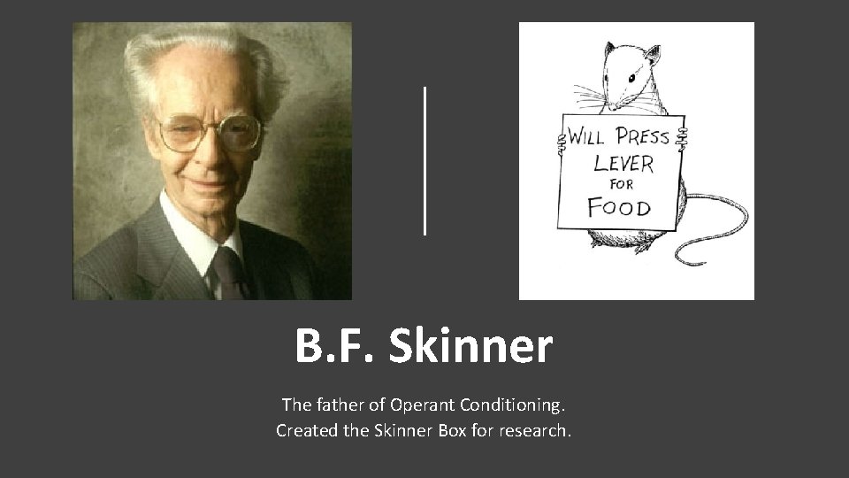 B. F. Skinner The father of Operant Conditioning. Created the Skinner Box for research.