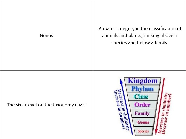 Genus The sixth level on the taxonomy chart A major category in the classification