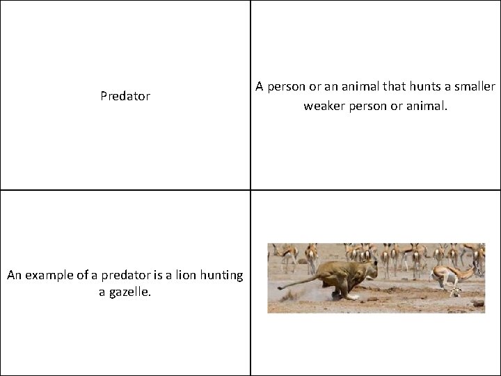 Predator An example of a predator is a lion hunting a gazelle. A person