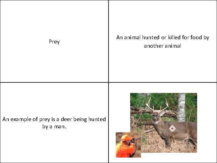 Prey An example of prey is a deer being hunted by a man. An