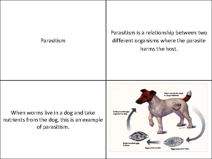 Parasitism When worms live in a dog and take nutrients from the dog, this