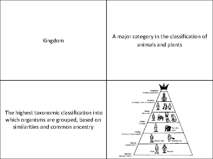 Kingdom The highest taxonomic classification into which organisms are grouped, based on similarities and
