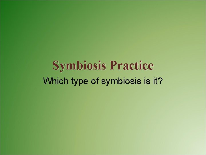 Symbiosis Practice Which type of symbiosis is it? 