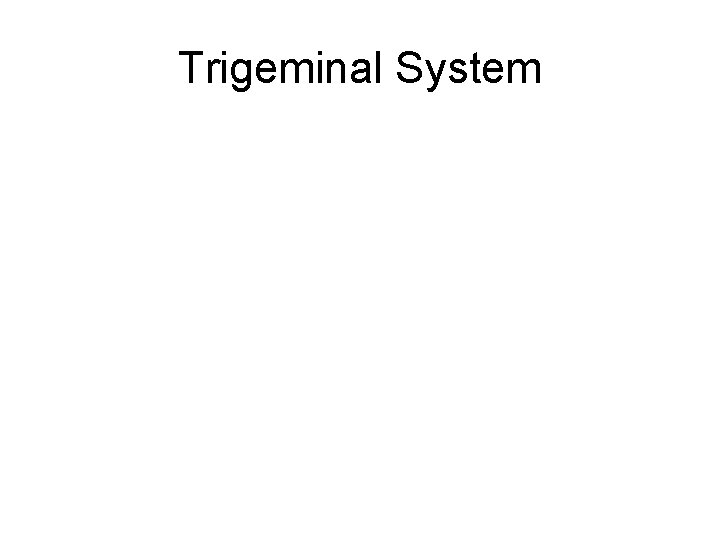 Trigeminal System 