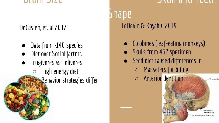 Brain Size Skull and Teeth Shape De. Casien, et. al 2017 Le. Devin &