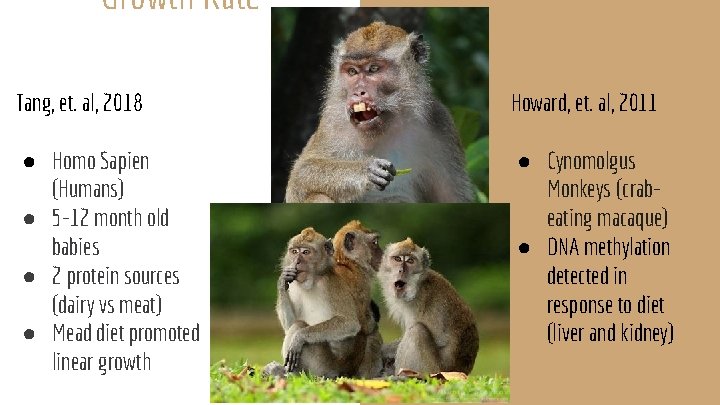 Growth Rate Heredity Tang, et. al, 2018 Howard, et. al, 2011 ● Homo Sapien