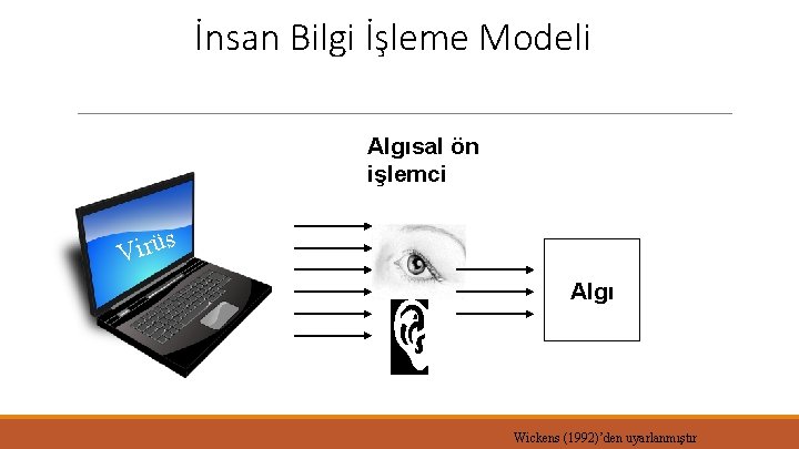 İnsan Bilgi İşleme Modeli Algısal ön işlemci s ü r i V Algı Wickens