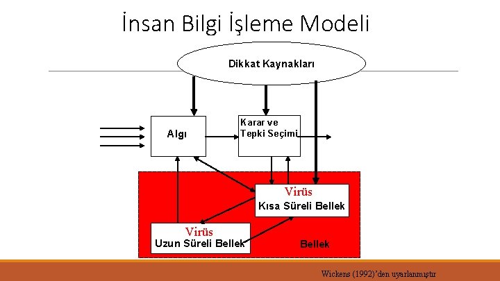 İnsan Bilgi İşleme Modeli Dikkat Kaynakları Algı Karar ve Tepki Seçimi Virüs Kısa Süreli