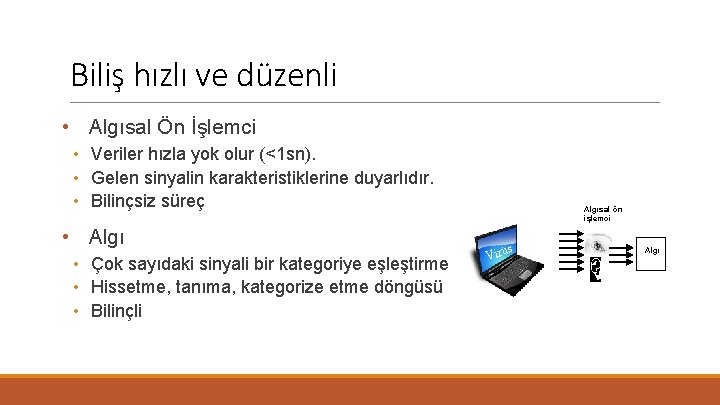 Biliş hızlı ve düzenli • Algısal Ön İşlemci • Veriler hızla yok olur (<1