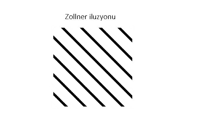 Zollner iluzyonu 