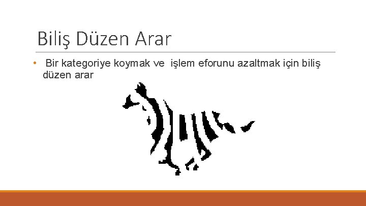 Biliş Düzen Arar • Bir kategoriye koymak ve işlem eforunu azaltmak için biliş düzen