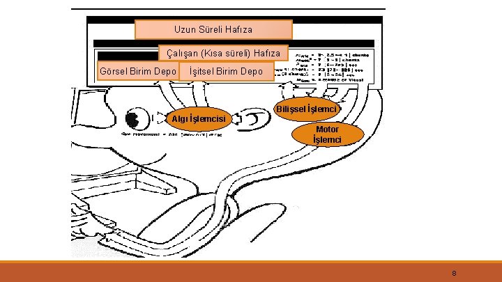 Uzun Süreli Hafıza Çalışan (Kısa süreli) Hafıza Görsel Birim Depo İşitsel Birim Depo Bilişsel
