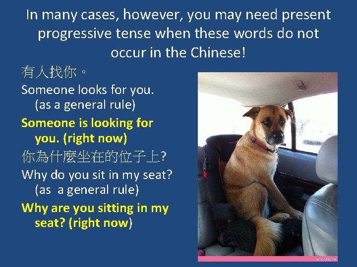 In many cases, however, you may need present progressive tense when these words do In many cases, however, you may need present progressive tense when these words do