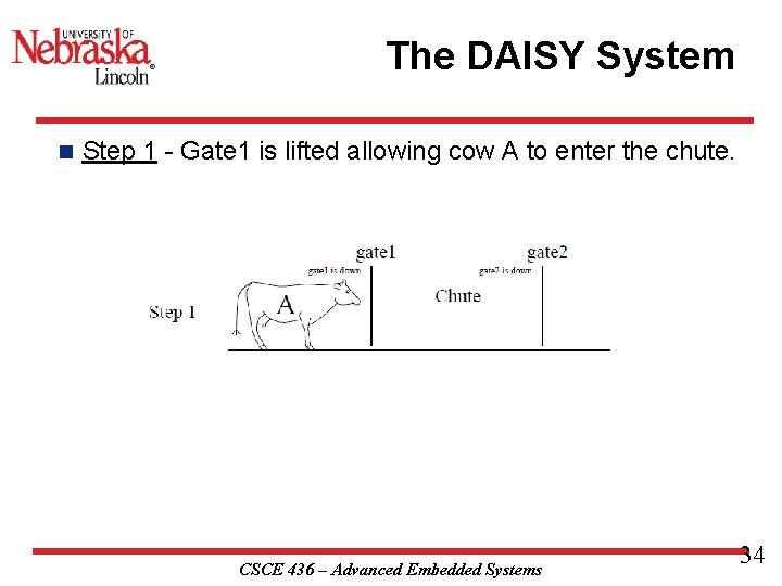 The DAISY System n Step 1 - Gate 1 is lifted allowing cow A