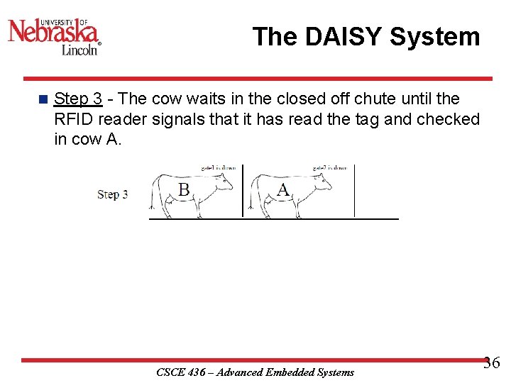 The DAISY System n Step 3 - The cow waits in the closed off