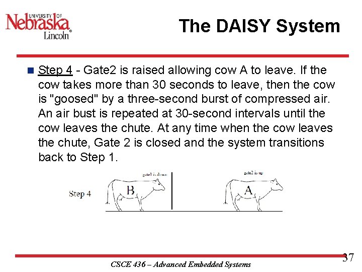 The DAISY System n Step 4 - Gate 2 is raised allowing cow A
