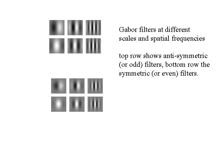 Gabor filters at different scales and spatial frequencies top row shows anti-symmetric (or odd)