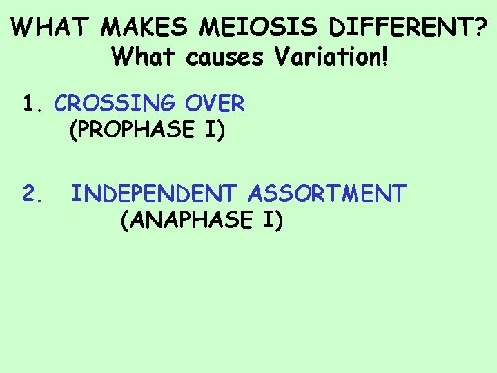 WHAT MAKES MEIOSIS DIFFERENT? What causes Variation! 1. CROSSING OVER (PROPHASE I) 2. INDEPENDENT