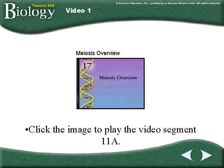 Video 1 Meiosis Overview • Click the image to play the video segment 11