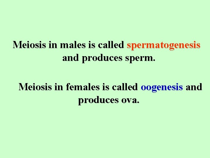 Meiosis in males is called spermatogenesis and produces sperm. Meiosis in females is called