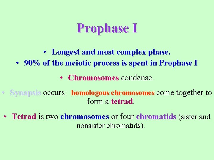 Prophase I • Longest and most complex phase. • 90% of the meiotic process