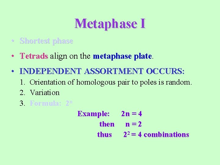 Metaphase I • Shortest phase • Tetrads align on the metaphase plate • INDEPENDENT