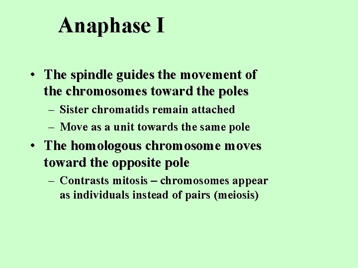 Anaphase I • The spindle guides the movement of the chromosomes toward the poles