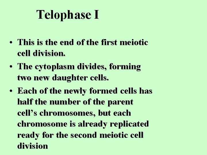 Telophase I • This is the end of the first meiotic cell division. •