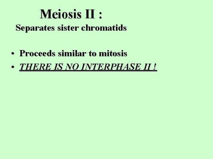 Meiosis II : Separates sister chromatids • Proceeds similar to mitosis • THERE IS