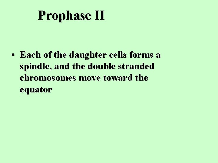 Prophase II • Each of the daughter cells forms a spindle, and the double