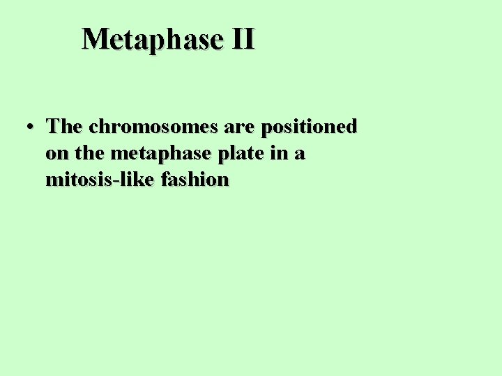 Metaphase II • The chromosomes are positioned on the metaphase plate in a mitosis-like