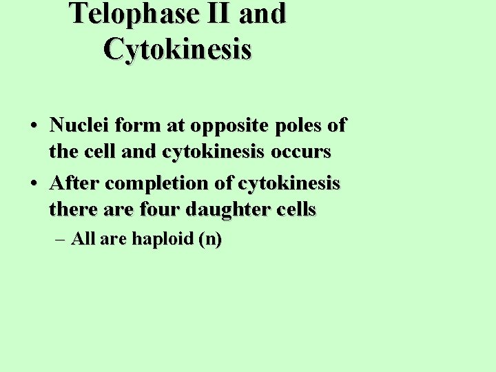 Telophase II and Cytokinesis • Nuclei form at opposite poles of the cell and