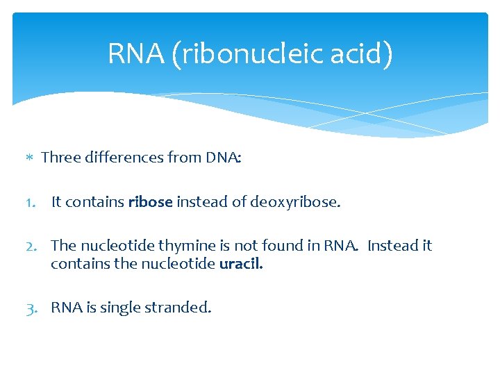 RNA (ribonucleic acid) Three differences from DNA: 1. It contains ribose instead of deoxyribose.