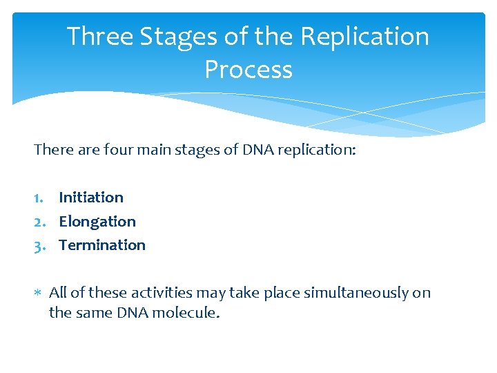 Three Stages of the Replication Process There are four main stages of DNA replication:
