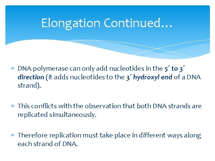 Elongation Continued… DNA polymerase can only add nucleotides in the 5΄ to 3΄ direction