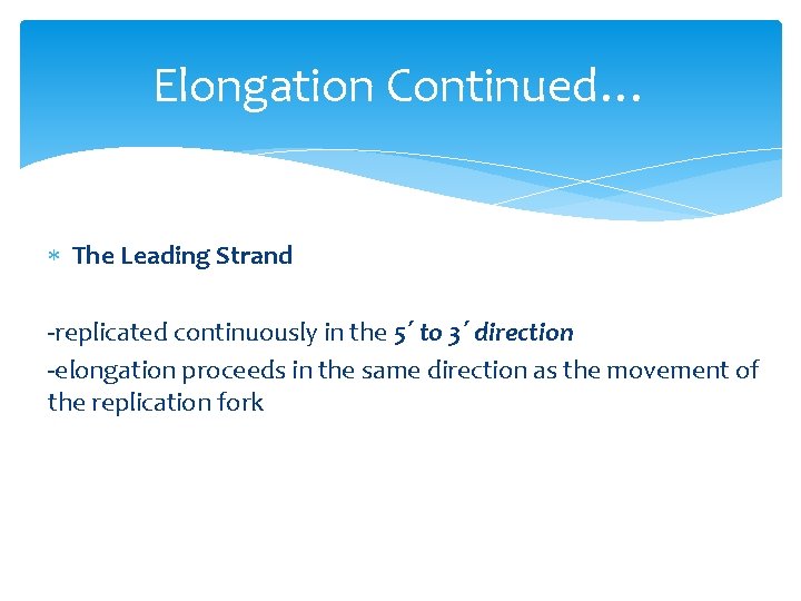 Elongation Continued… The Leading Strand -replicated continuously in the 5΄ to 3΄ direction -elongation