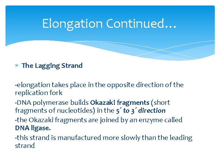 Elongation Continued… The Lagging Strand -elongation takes place in the opposite direction of the