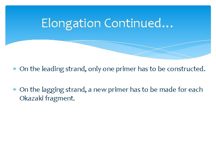 Elongation Continued… On the leading strand, only one primer has to be constructed. On