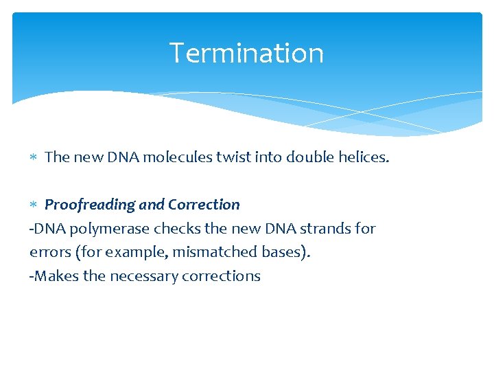 Termination The new DNA molecules twist into double helices. Proofreading and Correction -DNA polymerase