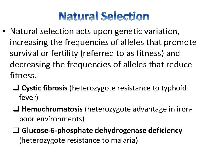  • Natural selection acts upon genetic variation, increasing the frequencies of alleles that