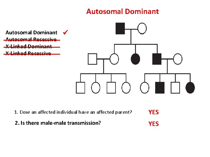 Autosomal Dominant Autosomal Recessive X-Linked Dominant X-Linked Recessive 1. Dose an affected individual have