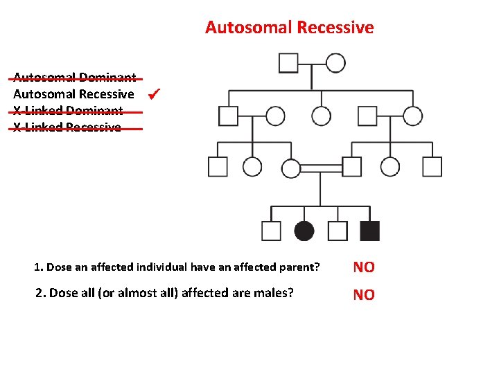 Autosomal Recessive Autosomal Dominant Autosomal Recessive X-Linked Dominant X-Linked Recessive 1. Dose an affected