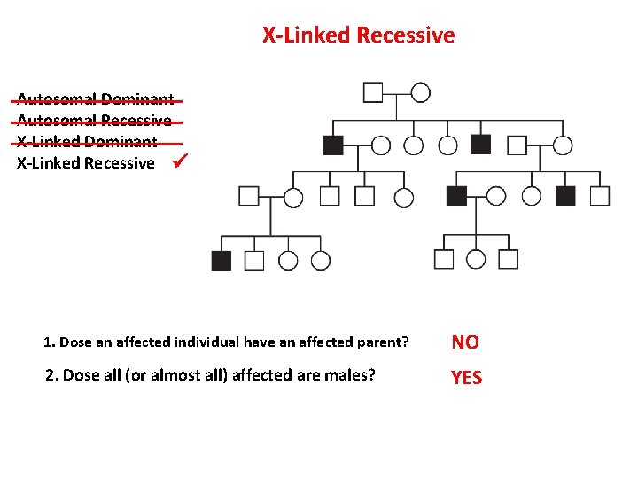 X-Linked Recessive Autosomal Dominant Autosomal Recessive X-Linked Dominant X-Linked Recessive 1. Dose an affected