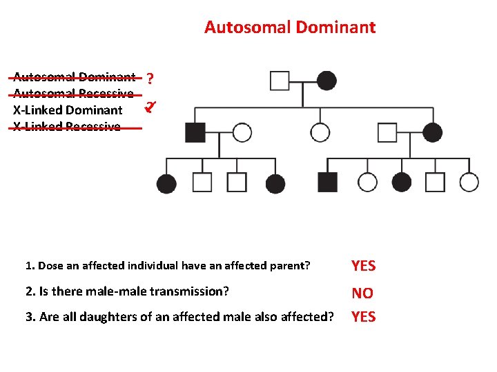 Autosomal Dominant Autosomal Recessive X-Linked Dominant X-Linked Recessive ? ? 1. Dose an affected